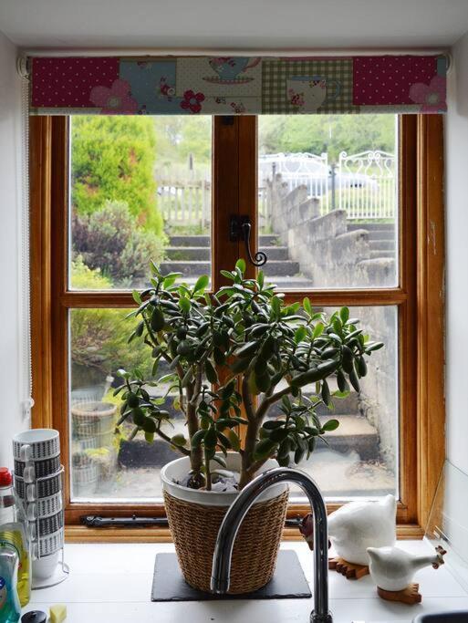 Foresters Inn Cottage Parkend Bagian luar foto